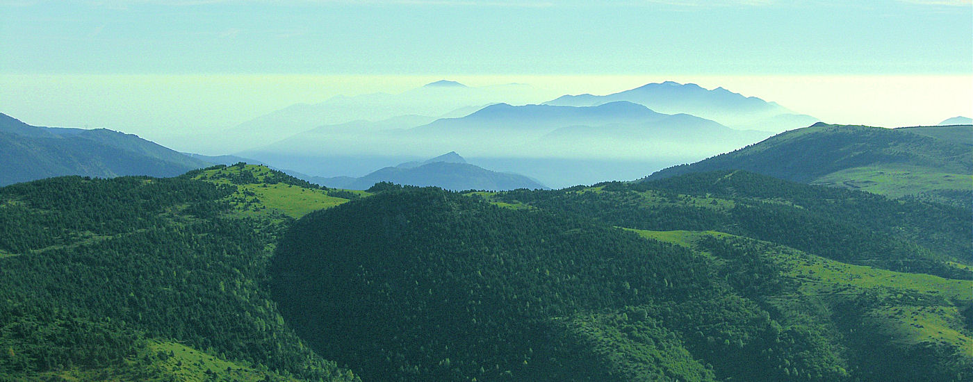 Gîtes Ruraux -La Costa de Dalt - Gîtes de France