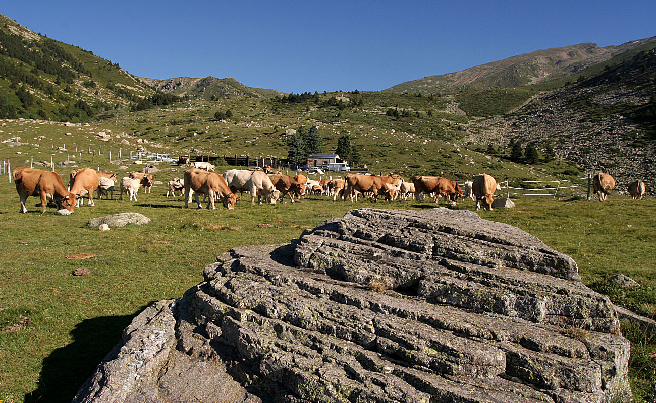Chambre Hôte El Casal - Prats de Mollo la Preste