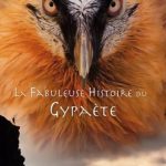 Ciné-Débat sur le gypaète barbu