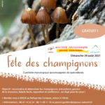 Fête des champignons