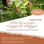 Fête des salades sauvages