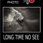 Exposition de photographies MYO