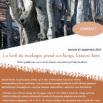 Balade guidée dans la forêt de montagne