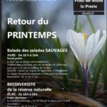 Balade des salades sauvages