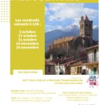Visite guidée de la ville